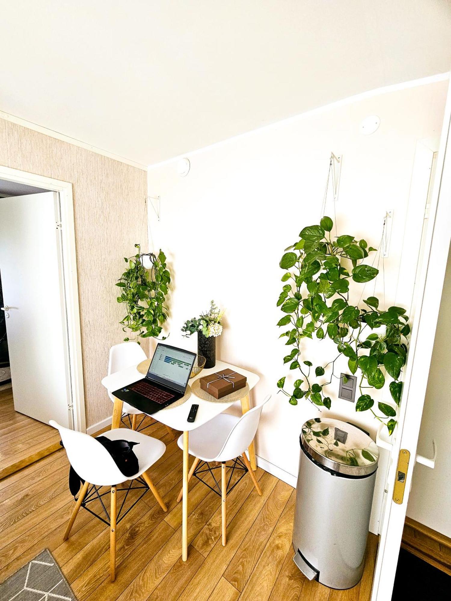Cofy Rentals - Centrally Located, Quiet District, Air-Conditioning, Free Parking, 24-7 Express Check-In-Out, Close To Sea And Everything You Need For Living! تالين الغرفة الصورة